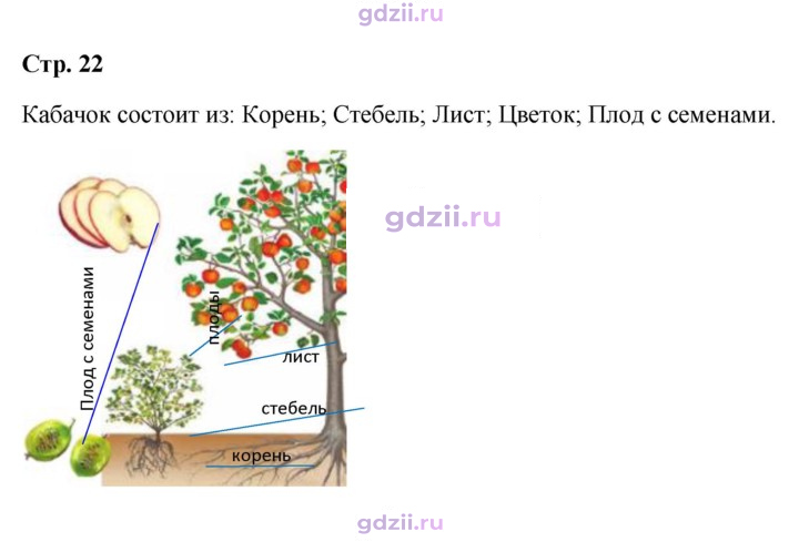 Скан решения номера 22