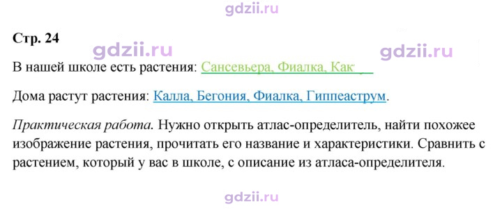 Скан решения номера 24