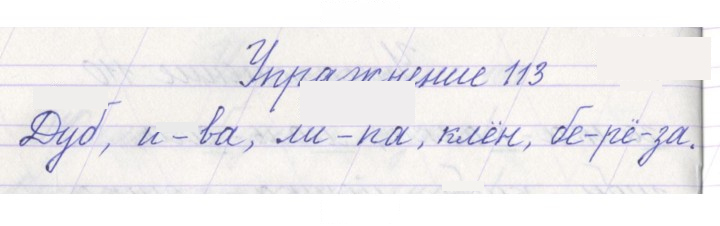 Скан решения номера 113