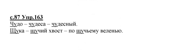 Скан решения номера 163