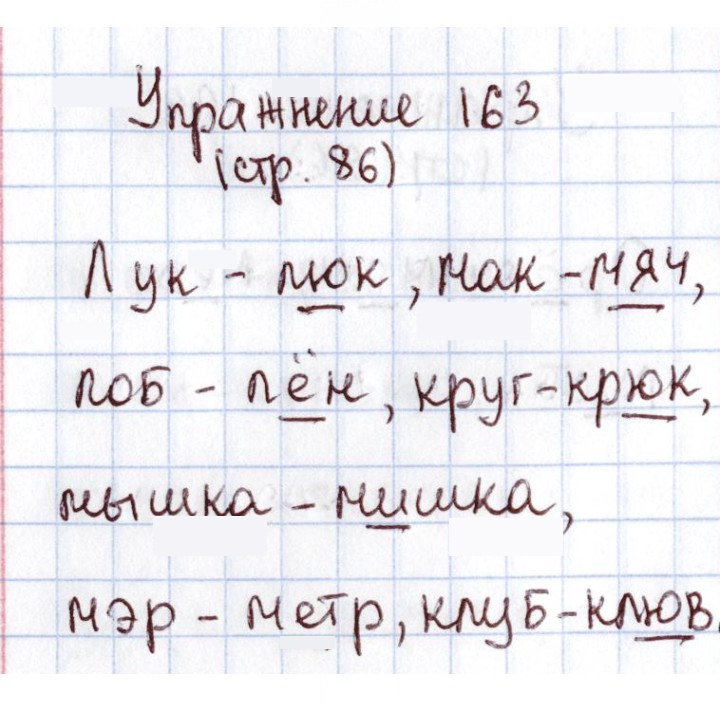 Скан решения номера 163