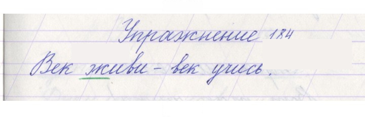 Скан решения номера 184