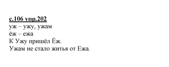 Скан решения номера 202