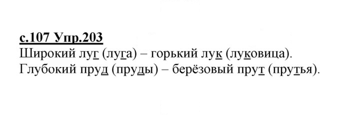 Скан решения номера 203