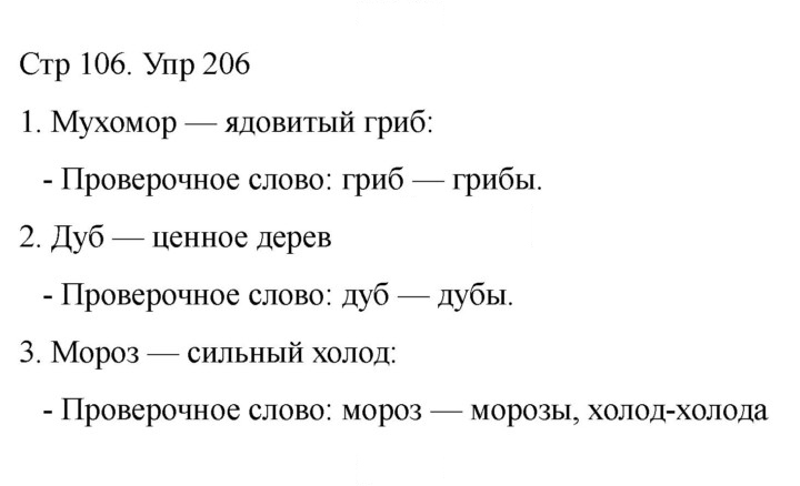 Скан решения номера 206