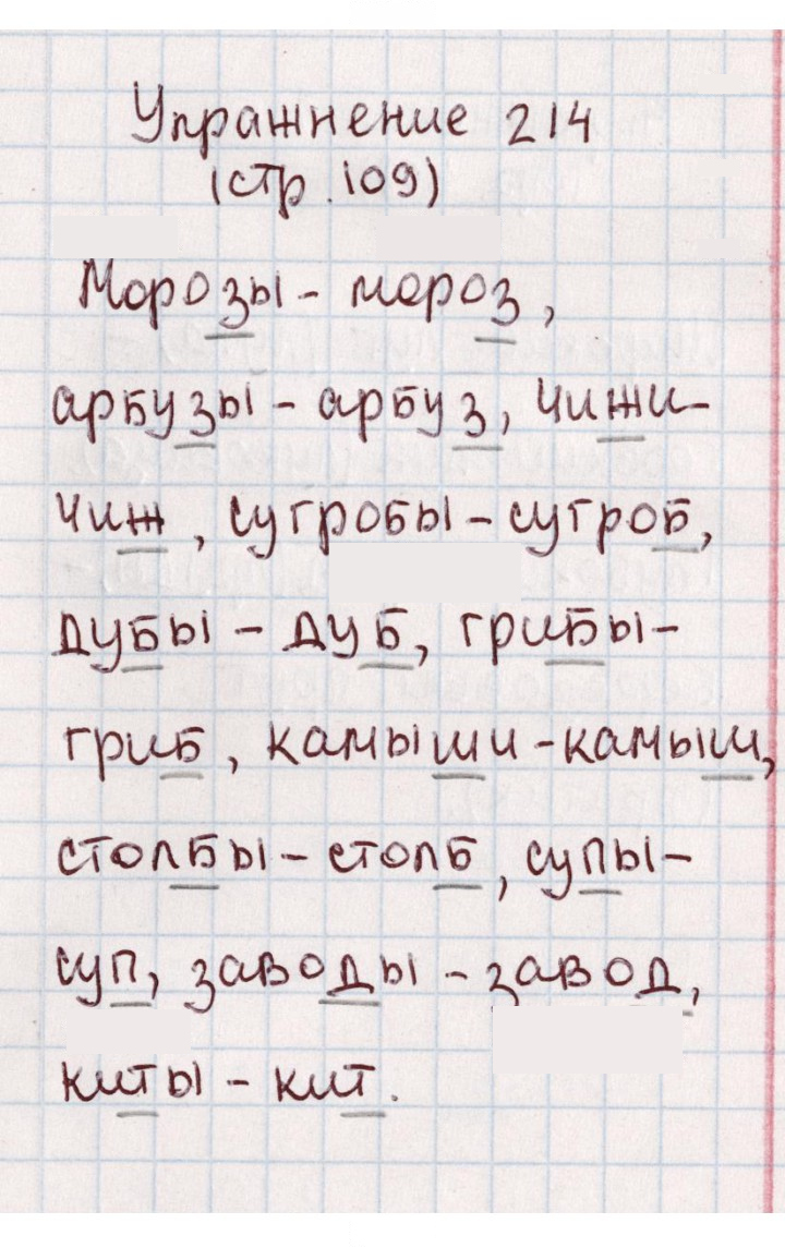 Скан решения номера 214