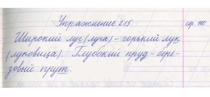 Скан решения номера 215