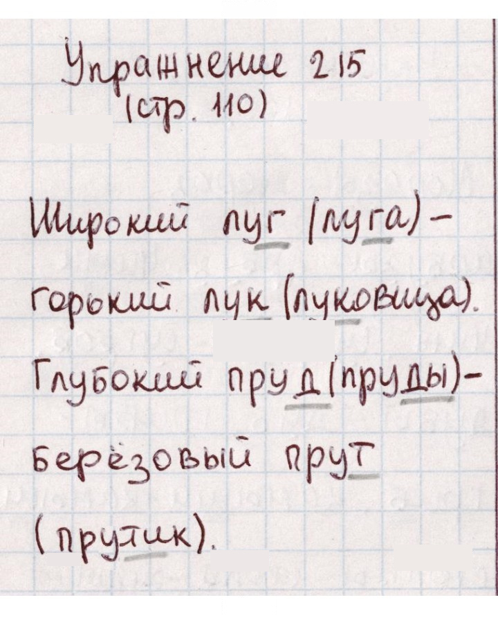 Скан решения номера 215