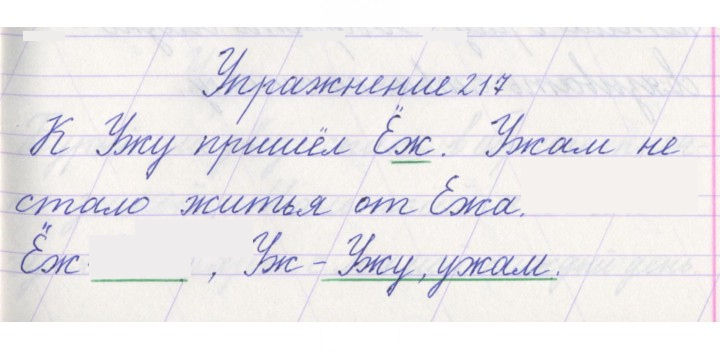 Скан решения номера 217