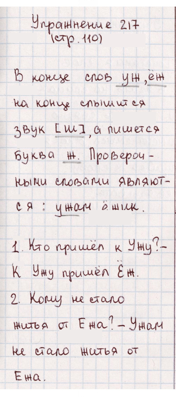 Скан решения номера 217