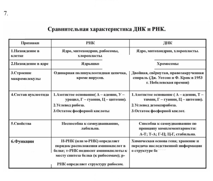Скан решения номера 7