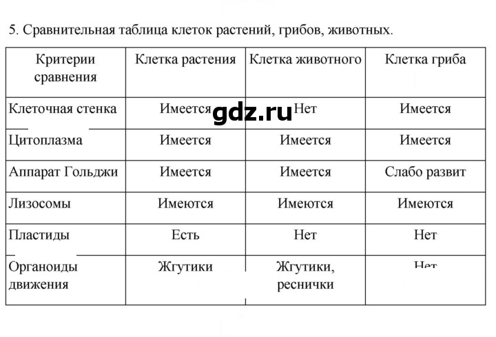 Скан решения номера 5