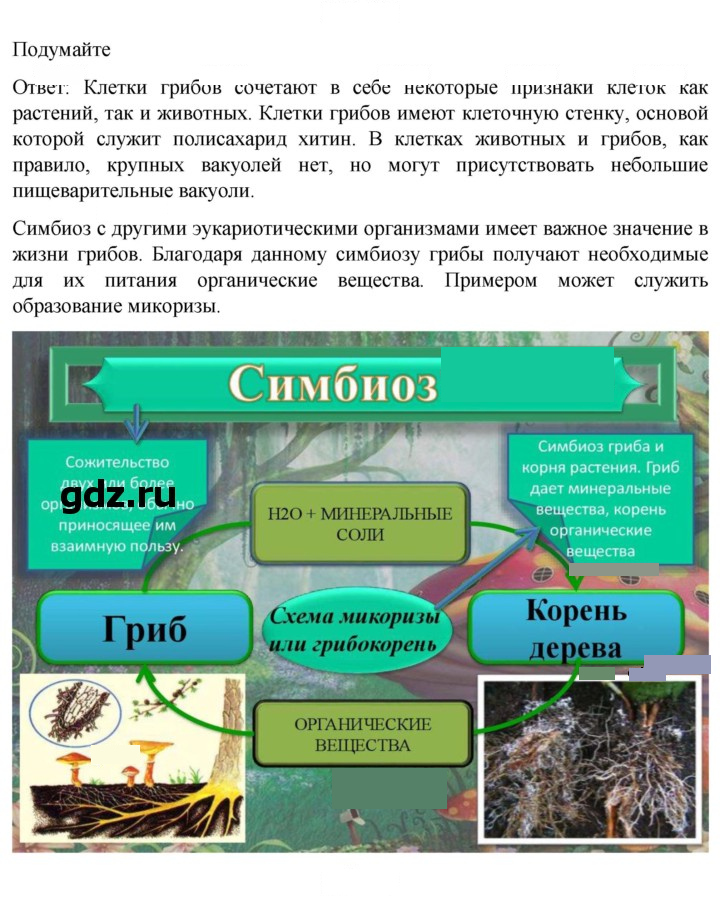 Скан решения номера 1