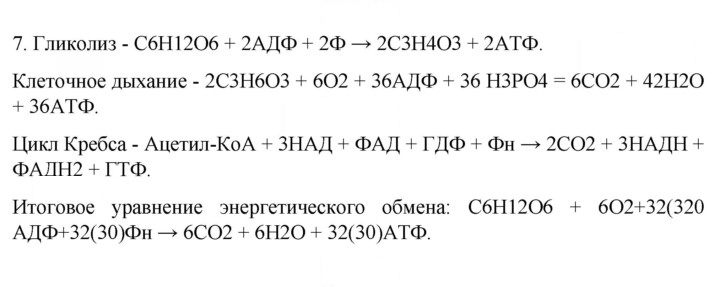 Скан решения номера 7