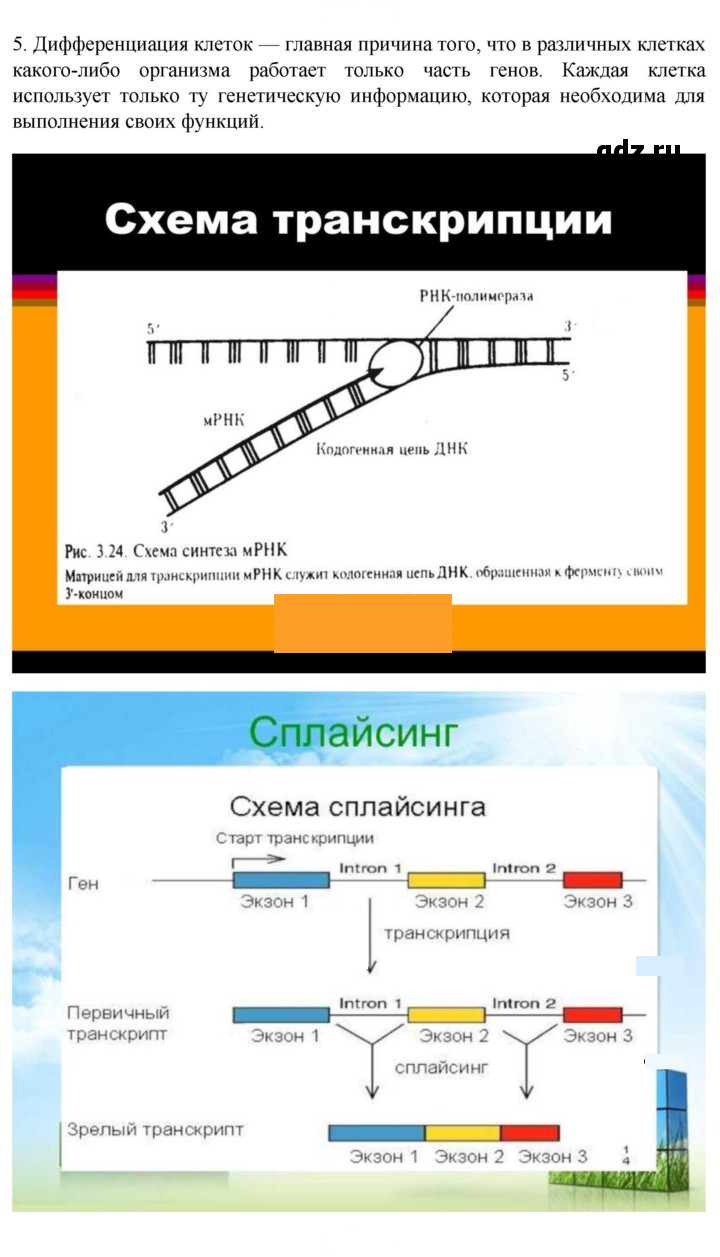 Скан решения номера 5