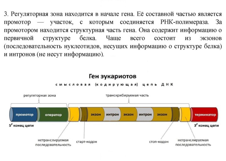 Скан решения номера 3