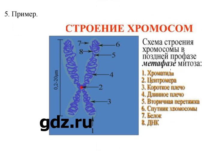 Скан решения номера 5