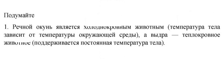 Скан решения номера 1