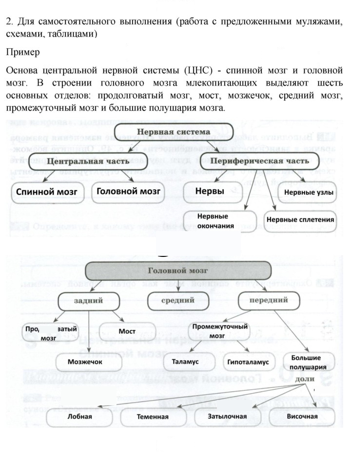 Скан решения номера 2