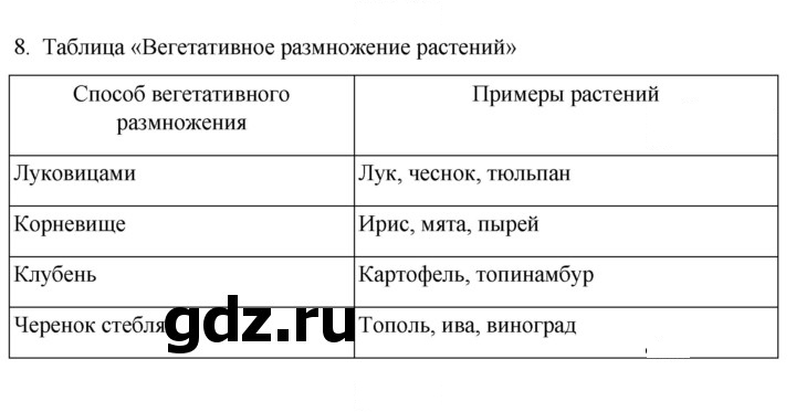Скан решения номера 8
