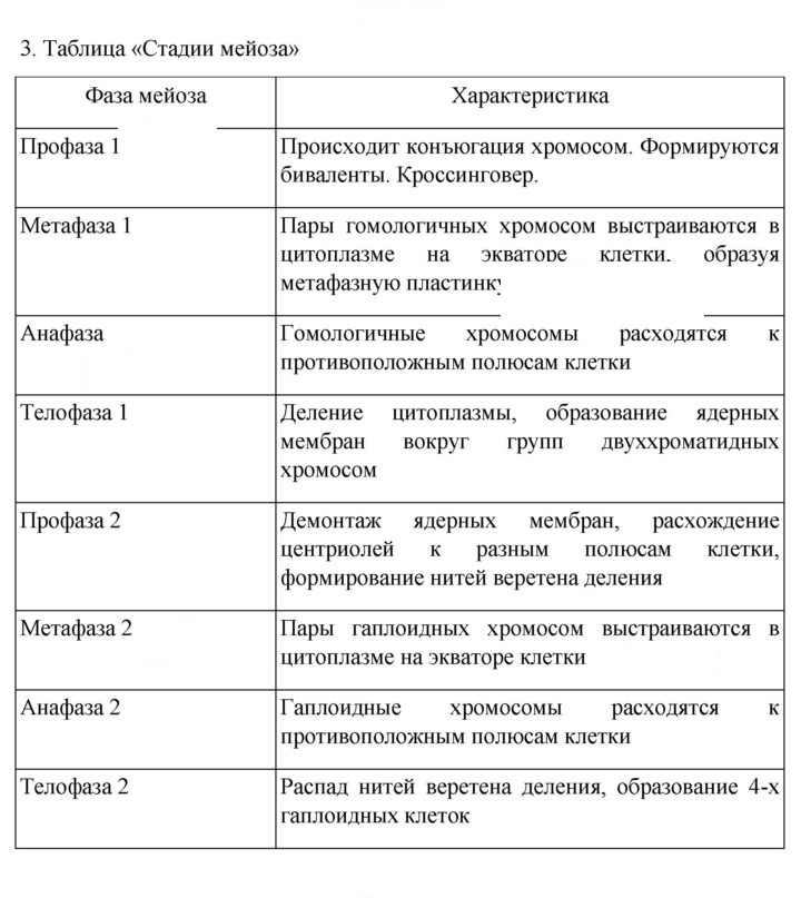 Скан решения номера 3