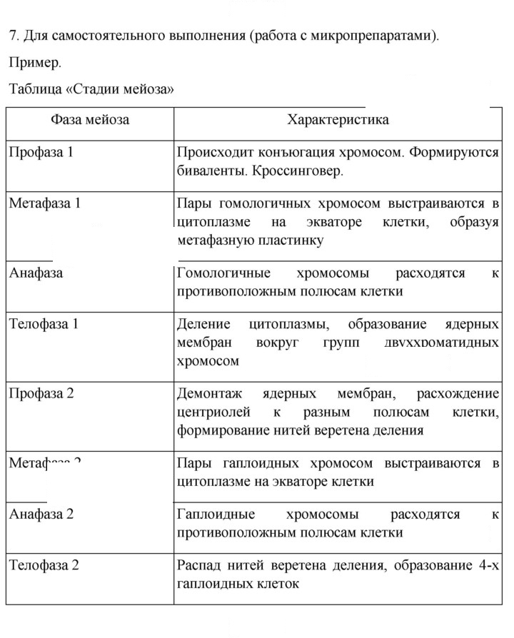 Скан решения номера 7
