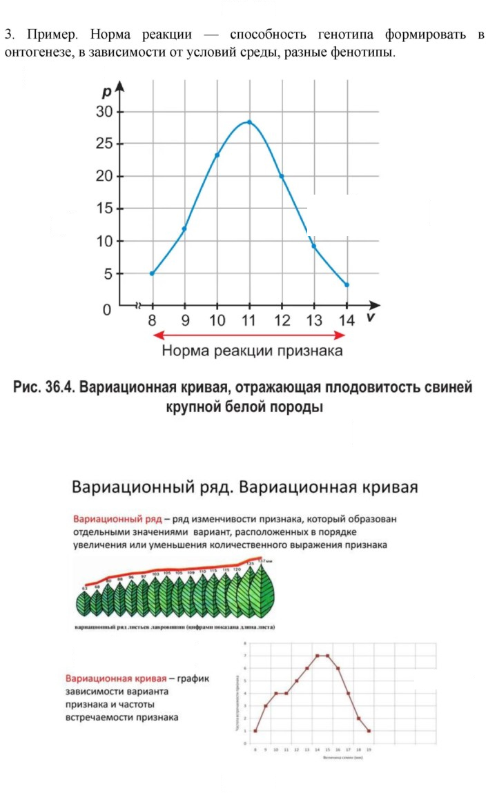 Скан решения номера 3