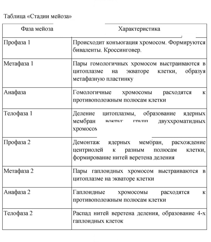 Скан решения номера Глава 10
