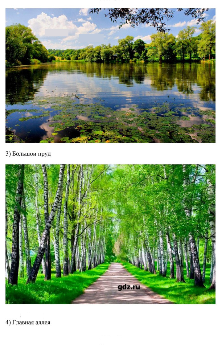 Скан решения номера 187