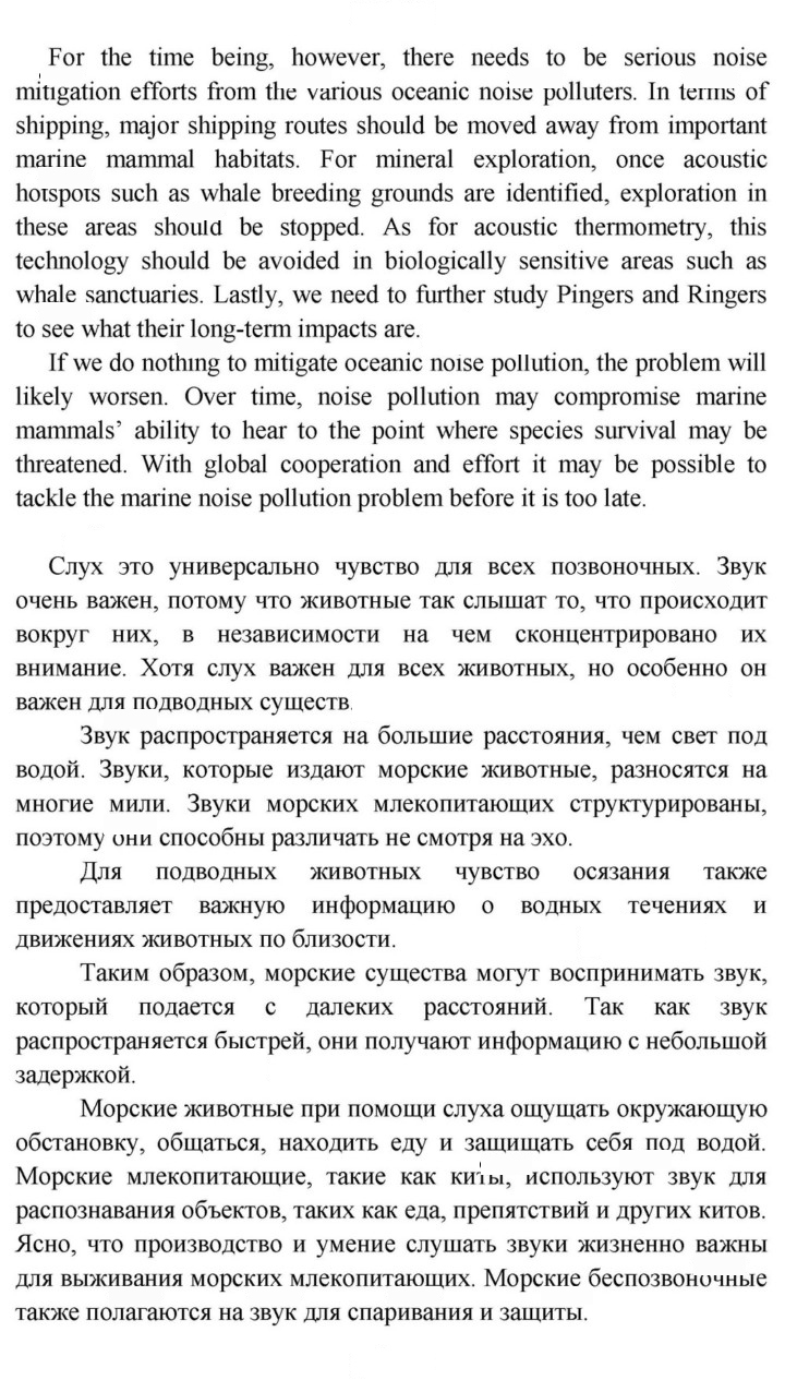 Скан решения номера 115