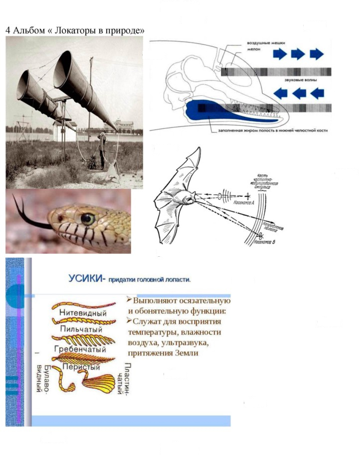 Скан решения номера Глава 4