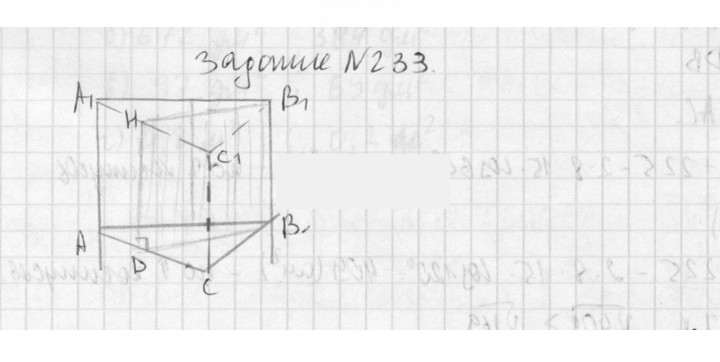 Скан решения номера 233