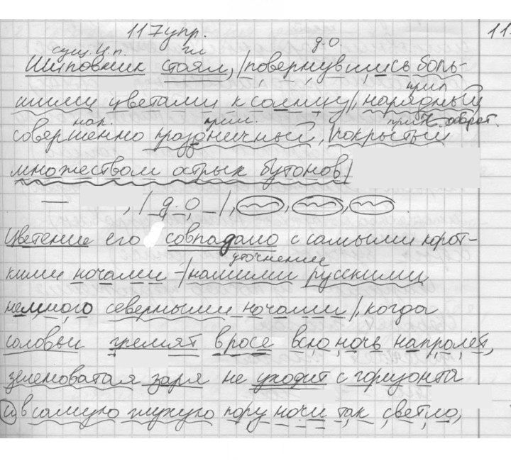 Скан решения номера 117