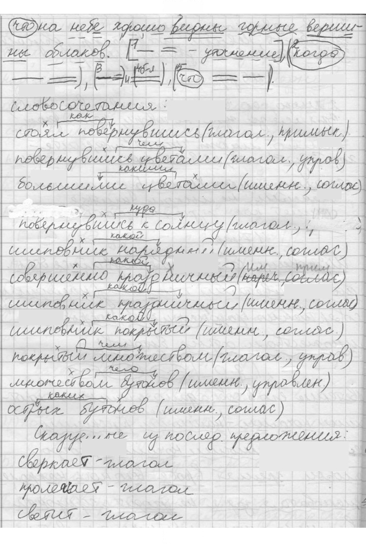 Скан решения номера 117