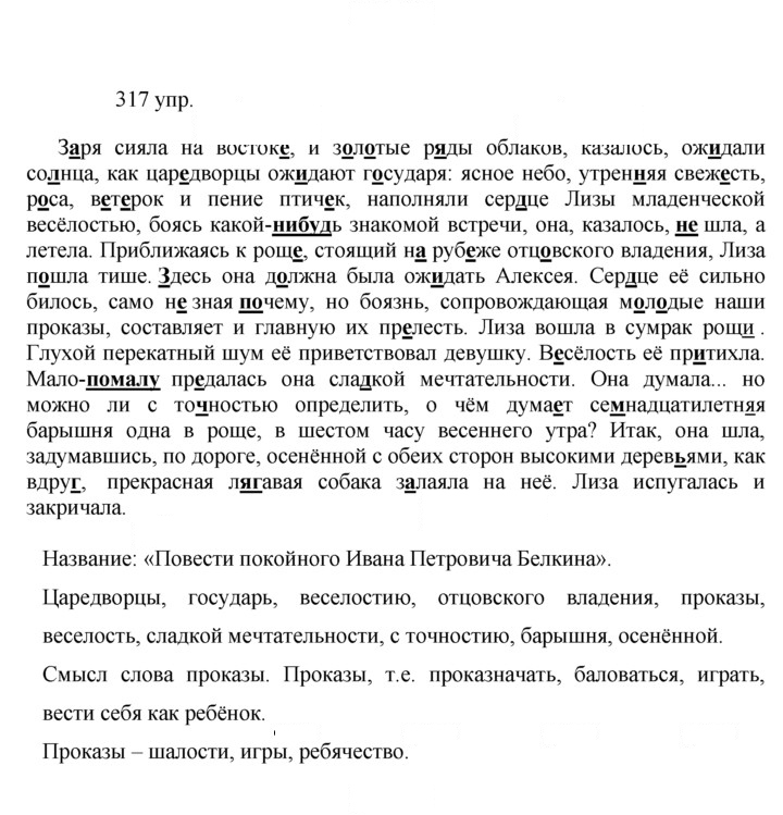 Скан решения номера 317