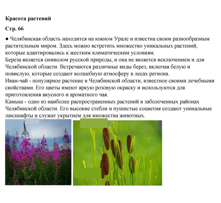 Скан решения номера 66