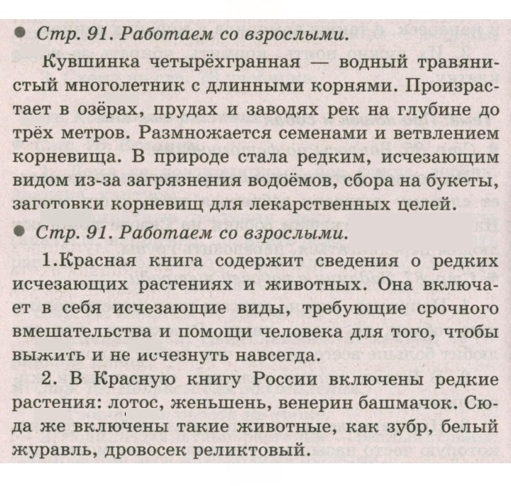 Скан решения номера 91