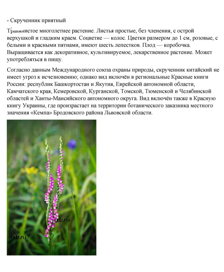 Скан решения номера 98