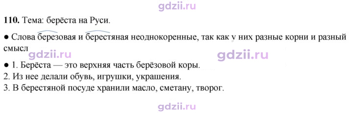 Скан решения номера 110
