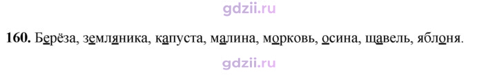 Скан решения номера 160