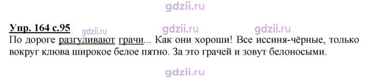 Скан решения номера 164