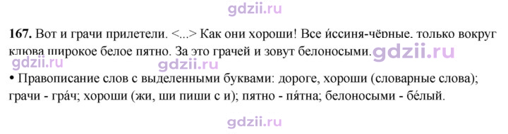 Скан решения номера 167