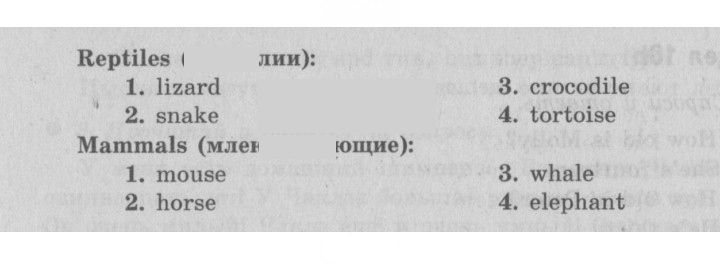 Скан решения номера 13 (81)