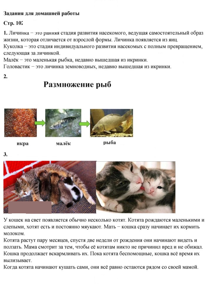 Скан решения номера 102