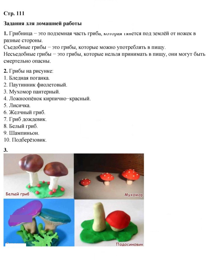 Скан решения номера 111