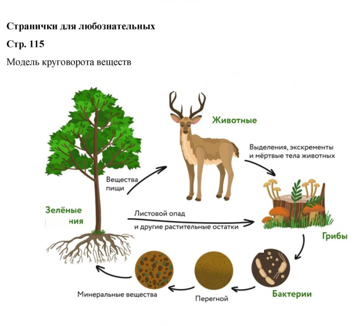 Скан решения номера 115
