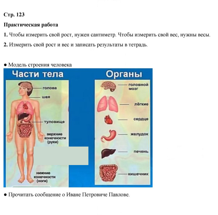 Скан решения номера 123