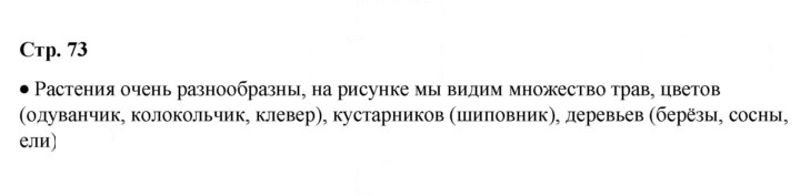 Скан решения номера 73