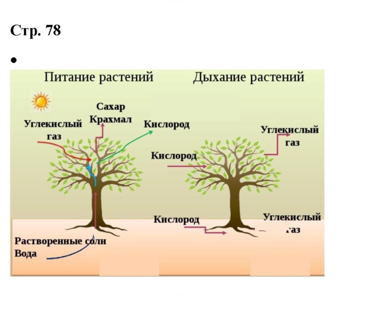 Скан решения номера 78