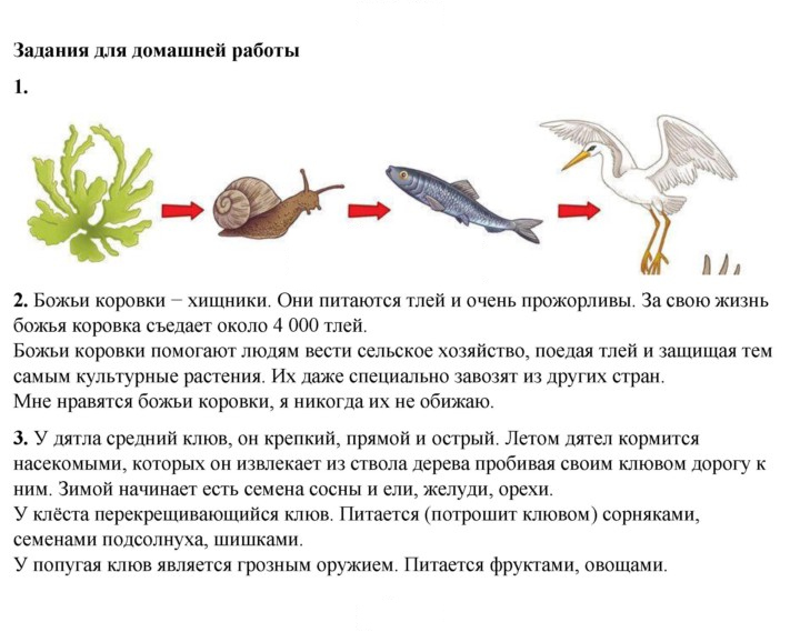 Скан решения номера 97